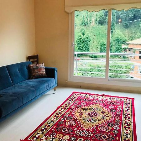 River Side Placed Suit House Secer Apart Çamlıhemşin Eksteriør billede